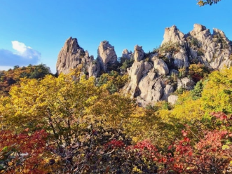  설악산 단풍, '이 코스'로 가야 후회 안 합니다! (2025년 단풍 시기, 케이블카 예약 꿀팁)