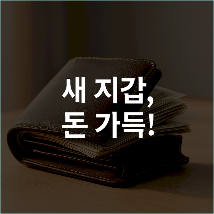  "지갑에 돈이 가득한 꿈"... 새 지갑 얻는 꿈, 당신의 재물 그릇이 커지고 있다는 신호입니다