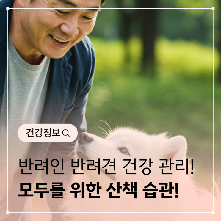  아침·저녁 산책과 반려견 건강 관리 – 반려인과 반려견 모두를 위한 습관