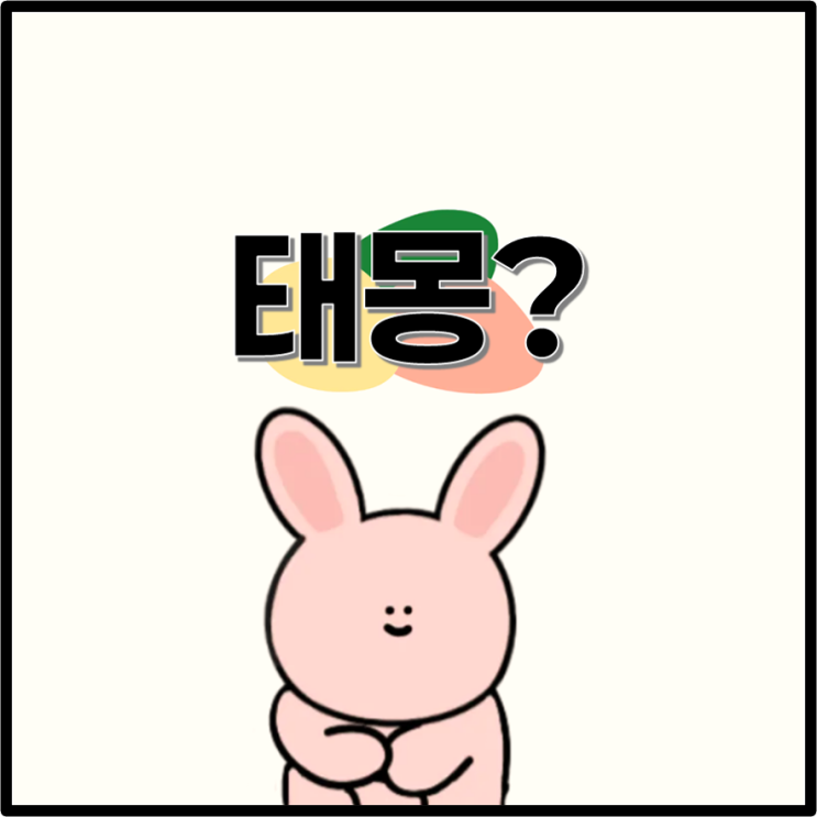 태몽이 여러 개라고? 고추, 쌍무지개, 쌍오이, 황금색 뱀까지 태몽 풀이 + 태명 공개!