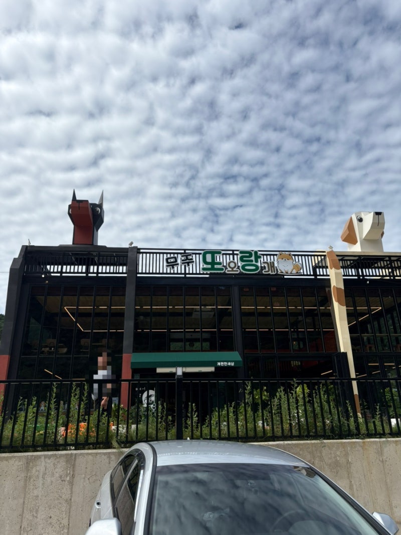 사진 4