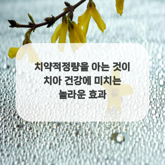  치약적정량을 아는 것이 치아 건강에 미치는 놀라운 효과