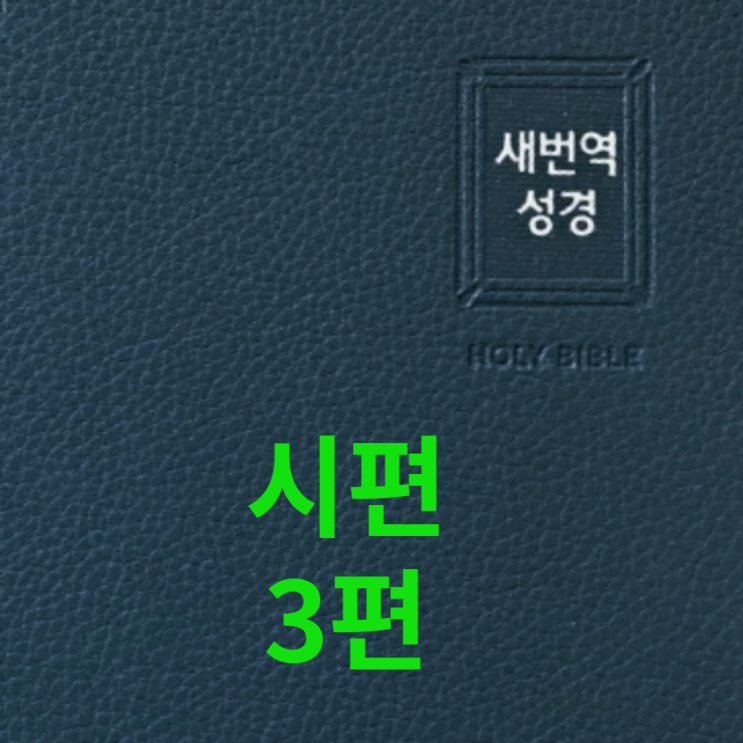  시편 3편