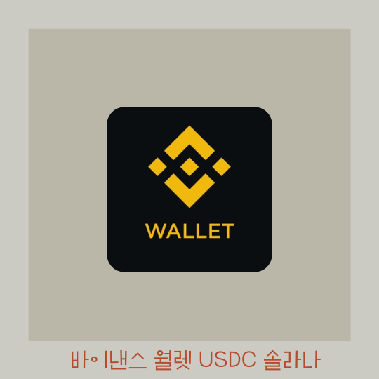  바이낸스 월렛 - 솔라나 네트워크 USDC 입금주소찾기