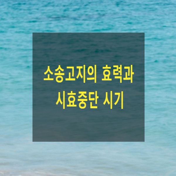  소송고지의 효력과 시효중단 시기