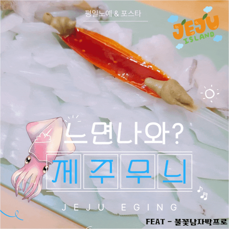  제주도 애월 무늬오징어 에깅 출조