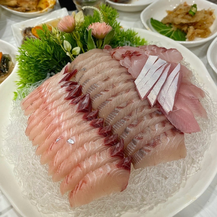  여수 이순신광장 회 맛집 희망선어 숙성회, 갈치조림 솔직후기