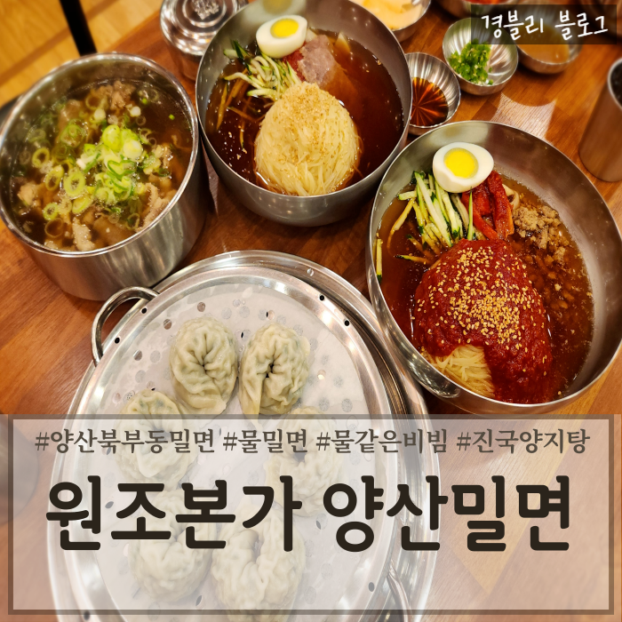  양산북부동맛집 북부동밀면양지탕맛집 제2청사밥집 '원조본가 양산밀면'