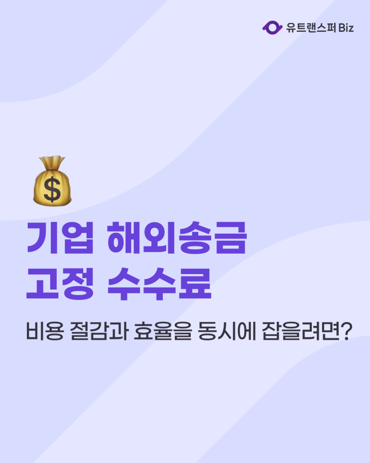  기업 해외송금, 유트랜스퍼Biz 8천원 고정 수수료로