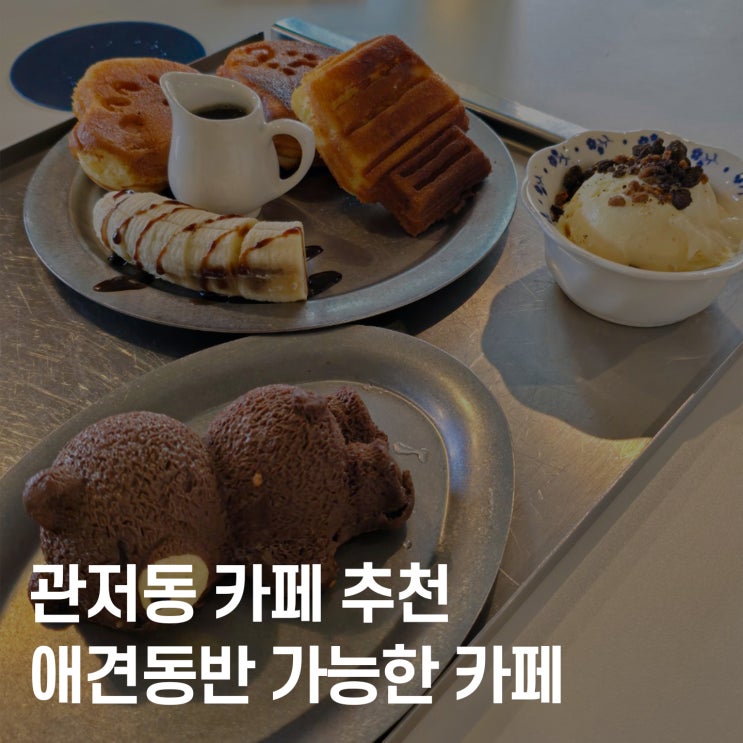  대전 서구 관저동 카페 추천 :: 모디모디카페, 반려견과 함께 즐기는 예쁜 공간