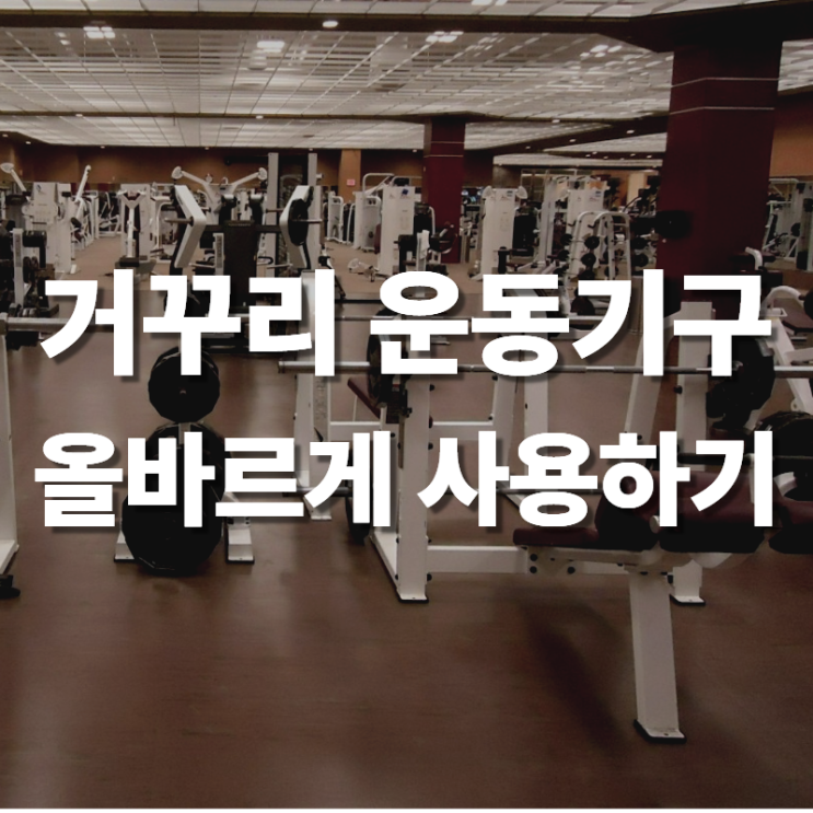  정자역 한의원 허리 디스크 환자의 거꾸리 사용법과 주의점