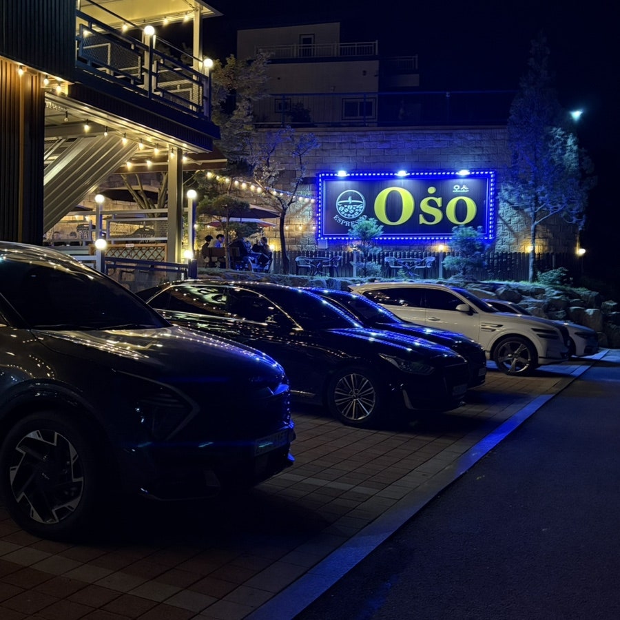 오소 사진 2