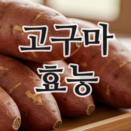  고구마의효능-삶은고구마부터 고구마줄기효능까지 완벽 안내