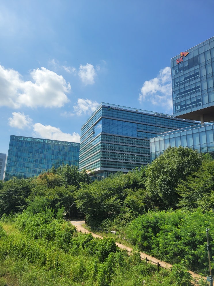  AI 도입 이후 달라진 판교 IT 기업 채용 풍경-젊은 인재 감소와 판교 부동산 변화의 의미