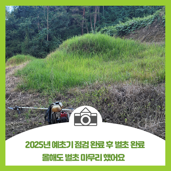  2025년 예초기 점검 완료 후 벌초 완료, 올해도 벌초 마무리 했어요