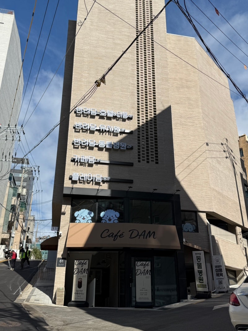 사진 8