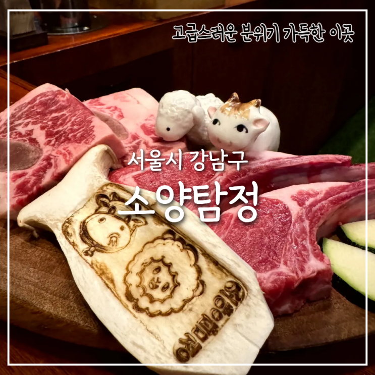 신사동 맛집 소양탐정, 콜키지 프리로 즐기는 소양갈비세트