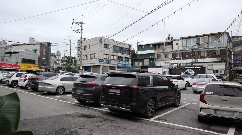 찬미찬 사진 5