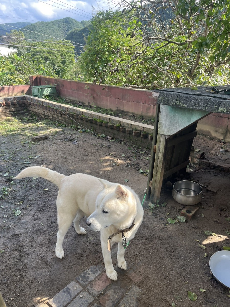 구름산방 사진 5