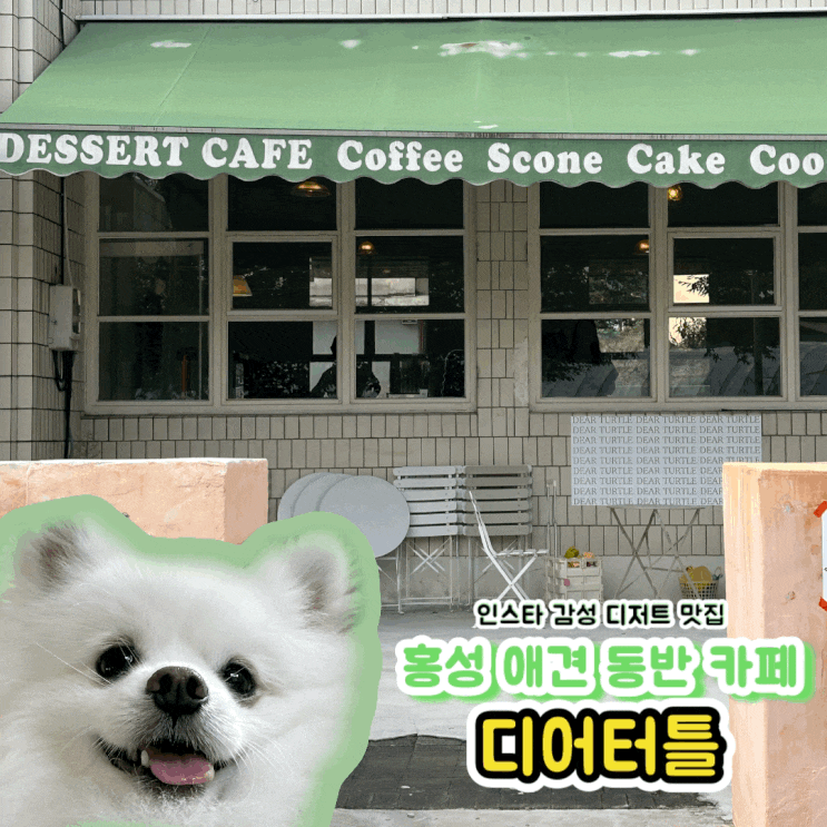  홍성 인스타 감성 대형견도 가능한 애견 동반 카페 디어터틀