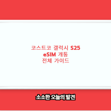 코스트코 갤럭시 S25 eSIM 개통 전체 가이드