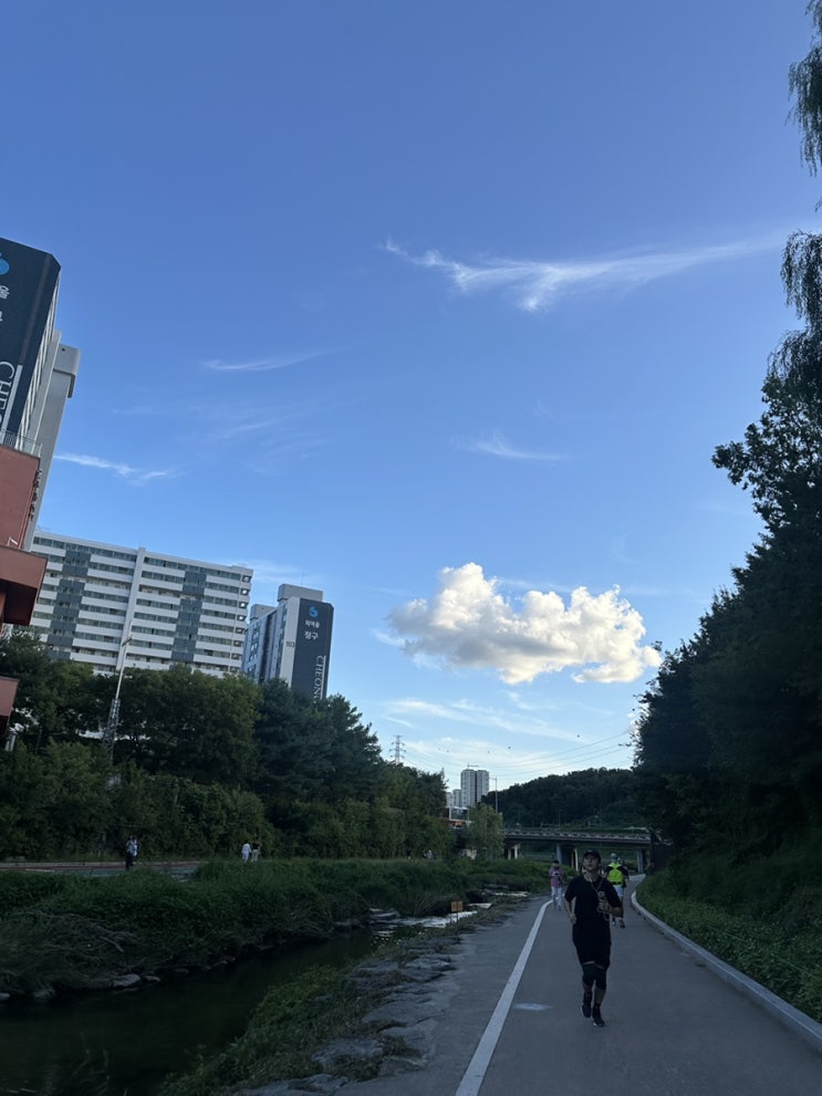  런린이의 동네 하천 가을 런닝️