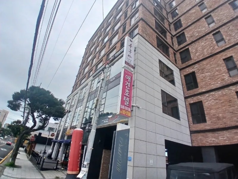 베콩스 애견호텔&놀이터&미용