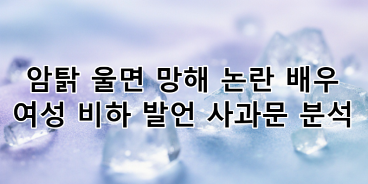 뮤지컬 배우 <b>홍성원</b> '암탉' <b>발언</b> 논란: <b>여성 비하</b> 사과문과... 