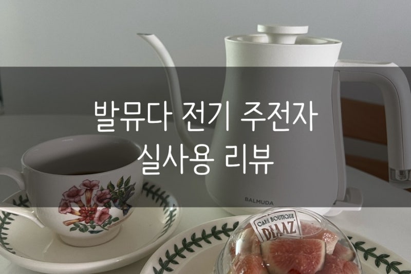 발뮤다 전기주전자 l 발뮤다 더 팟 가정용 전기주전자 실사용 후기 세척방법