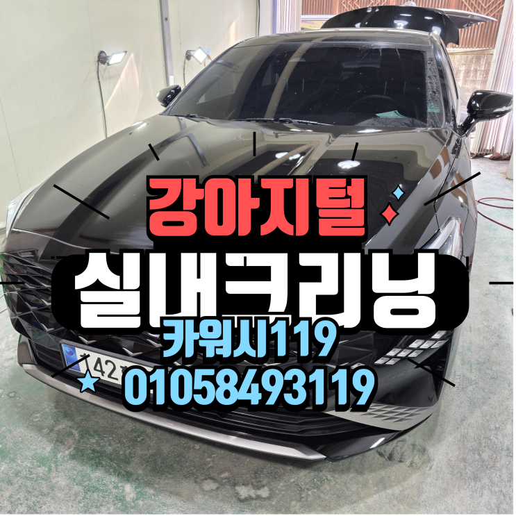  과천세차 자동차 내부 강아지 개털악취제거 실내크리닝