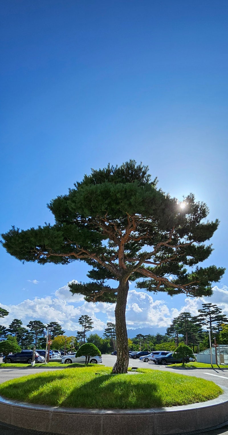 정책지식 2025.9.23. : 네이버 블로그