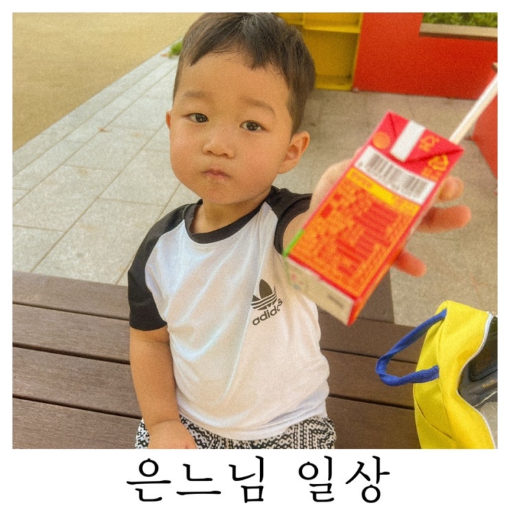  [은느님 일상]아직도 드폰이에 사진이 한가득