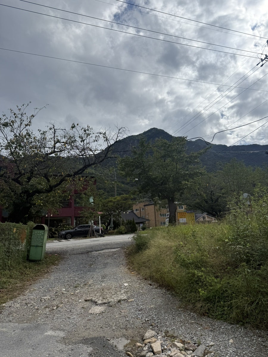 여명 사진 5
