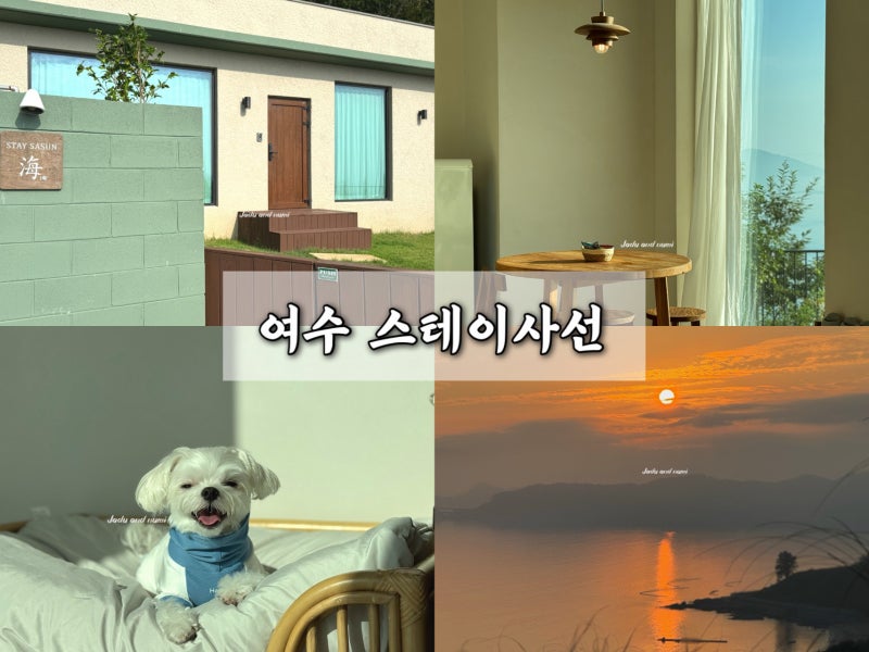 사진 3
