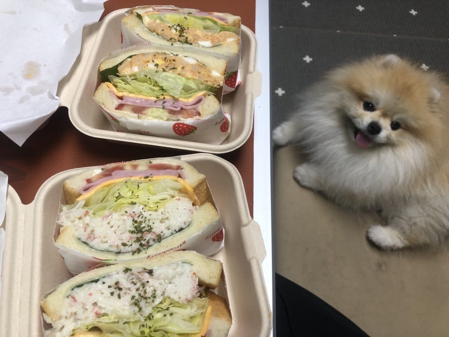 벙커제이 사진 1