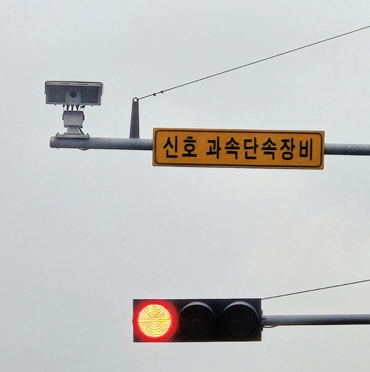  신호단속카메라, 피하지말고 지키자!!