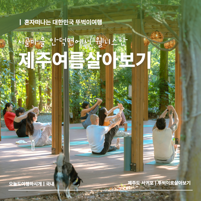 웰니스한 제주한달살기 준비물 체크리스트
