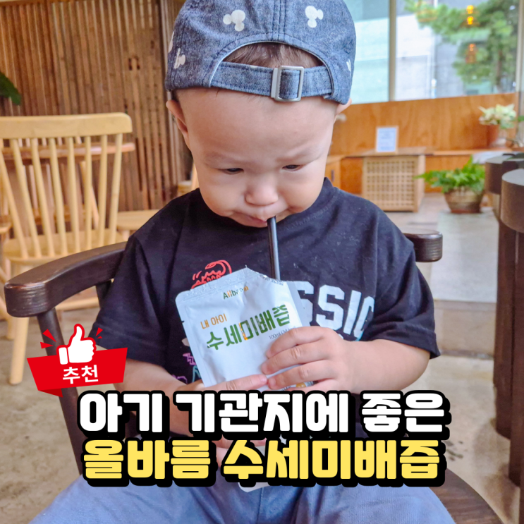  수세미즙 효능, 아기배즙 대신 기관지에 좋은 음식 수세미배즙
