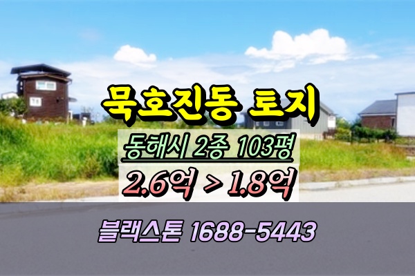  동해시 묵호진동 토지 경매 나대지 100평
