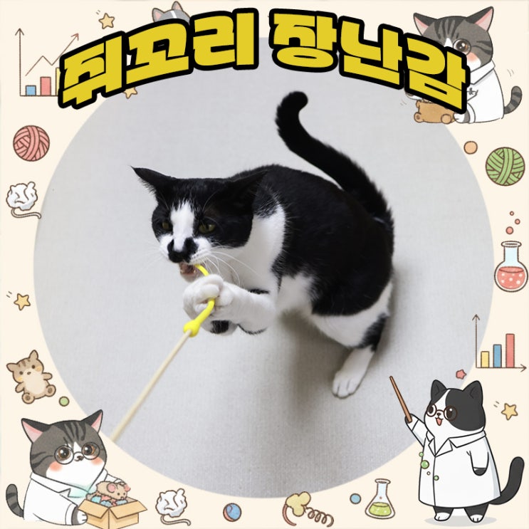  생쥐 닮은 고양이 장난감 뚱이 리얼 대환장 쥐꼬리 장난감