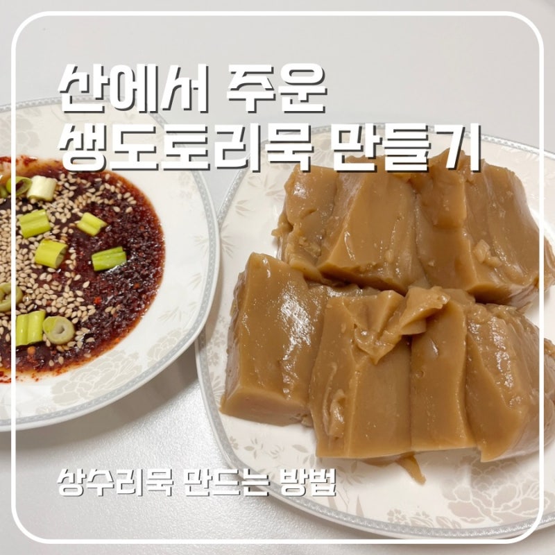 산에서 주운 생도토리묵 만드는법, 상수리열매 도토리묵 만들기