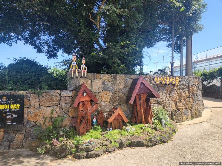   제주도 숨은 명소 산양큰엉곶 완벽 가이드