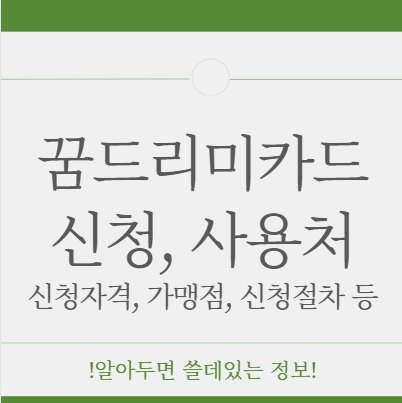 광주 꿈드리미카드 신청 사용 잔액조회 사용처 가맹점 확인 방법
