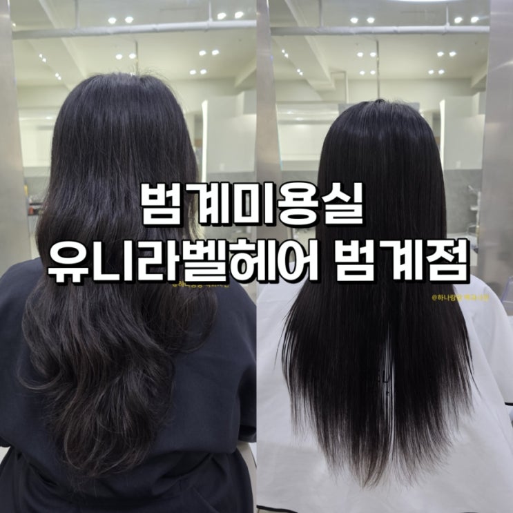  [경기 안양] 기장추가비용 없는 애견동반 가능한 범계미용실 유니라벨헤어 범계점