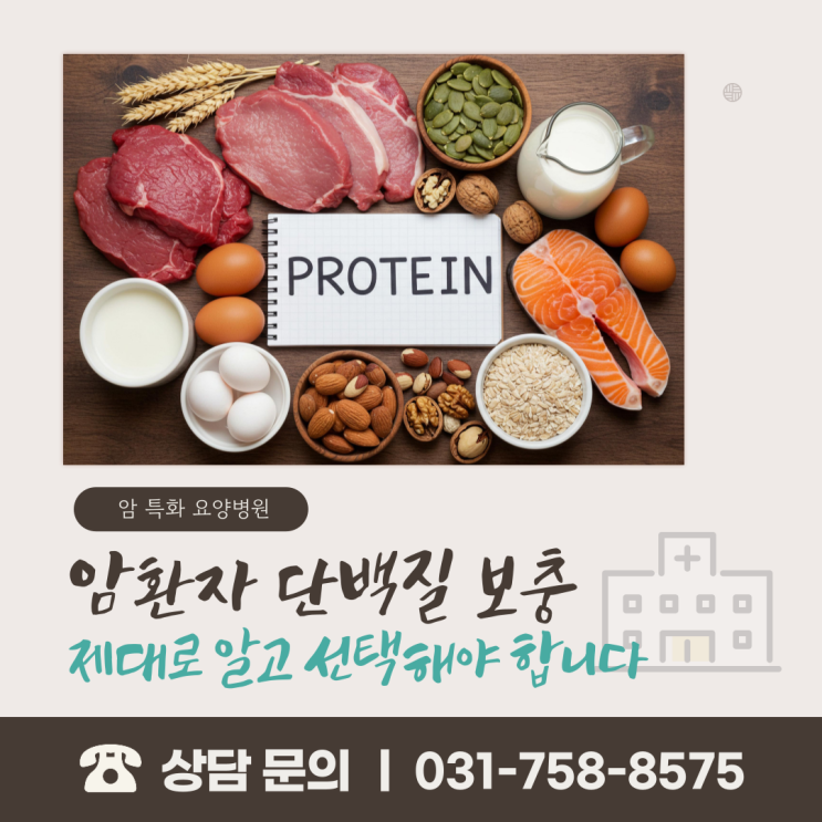  암환자 단백질 보충, 제대로 알고 선택해야 합니다