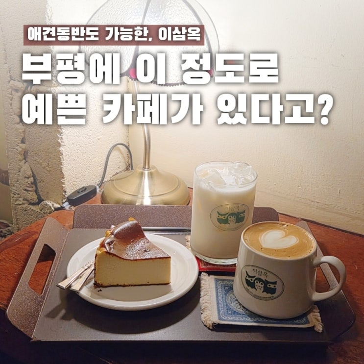  이렇게 예쁜데 강아지도 환영? 부평애견동반카페 이삼옥