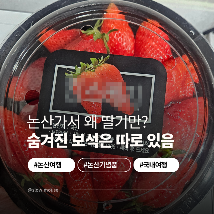  논산여행 가서 딸기만 사올 건 아니죠? '이것'도 필수!
