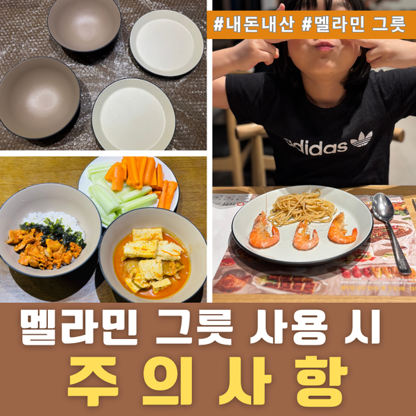 멜라민 그릇, 현명하게 사용하고 관리하는 법: 이더멜라민 메탈 접시볼 후기 포함