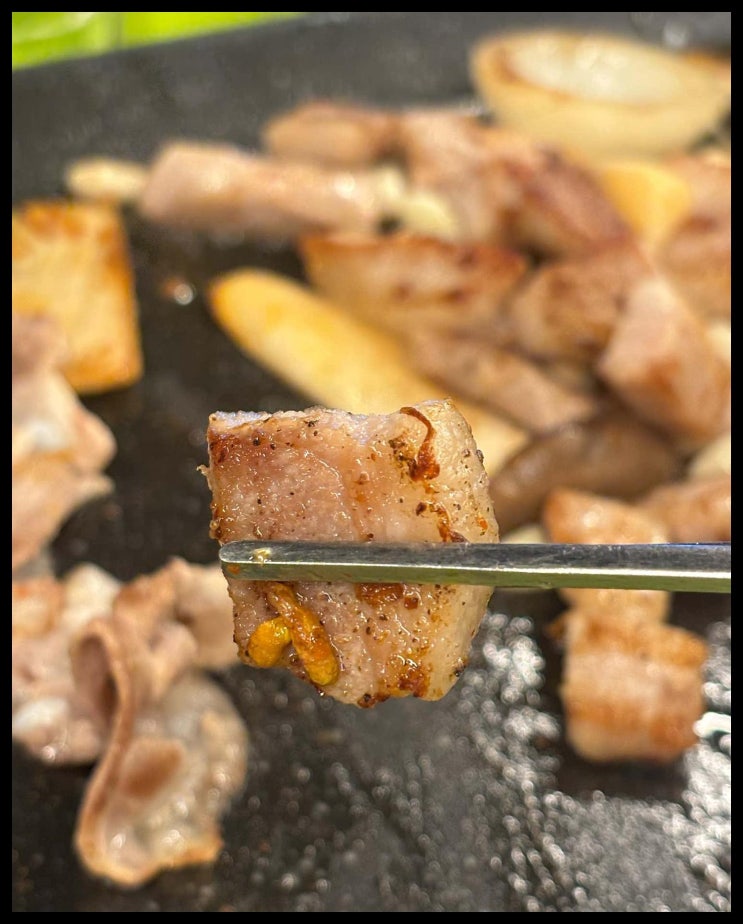  진월동에서 백프로진짜한돈으로 술이 뿜어져 나오는 이유 소주참치 조합은 말이 필요 없어