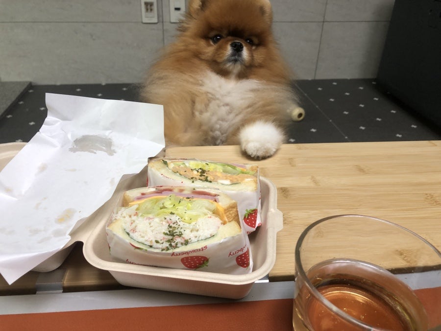 벙커제이 사진 2